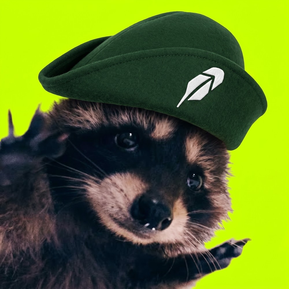 Pedro the Raccoon wearing his green cap